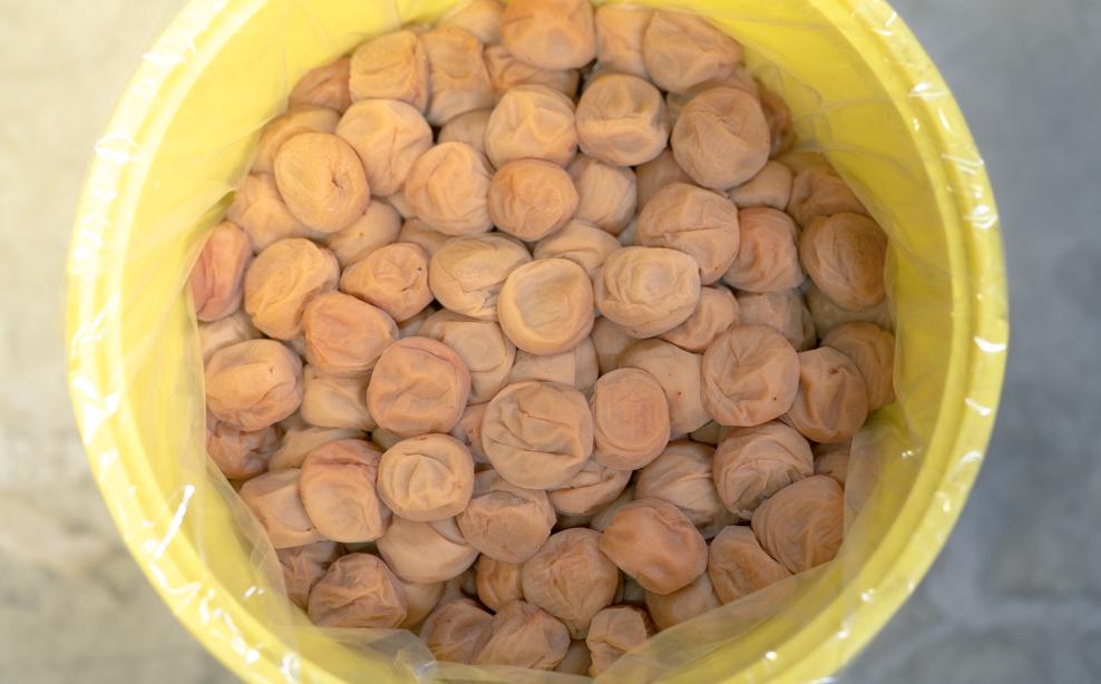 百福梅 しそ漬梅干 900g