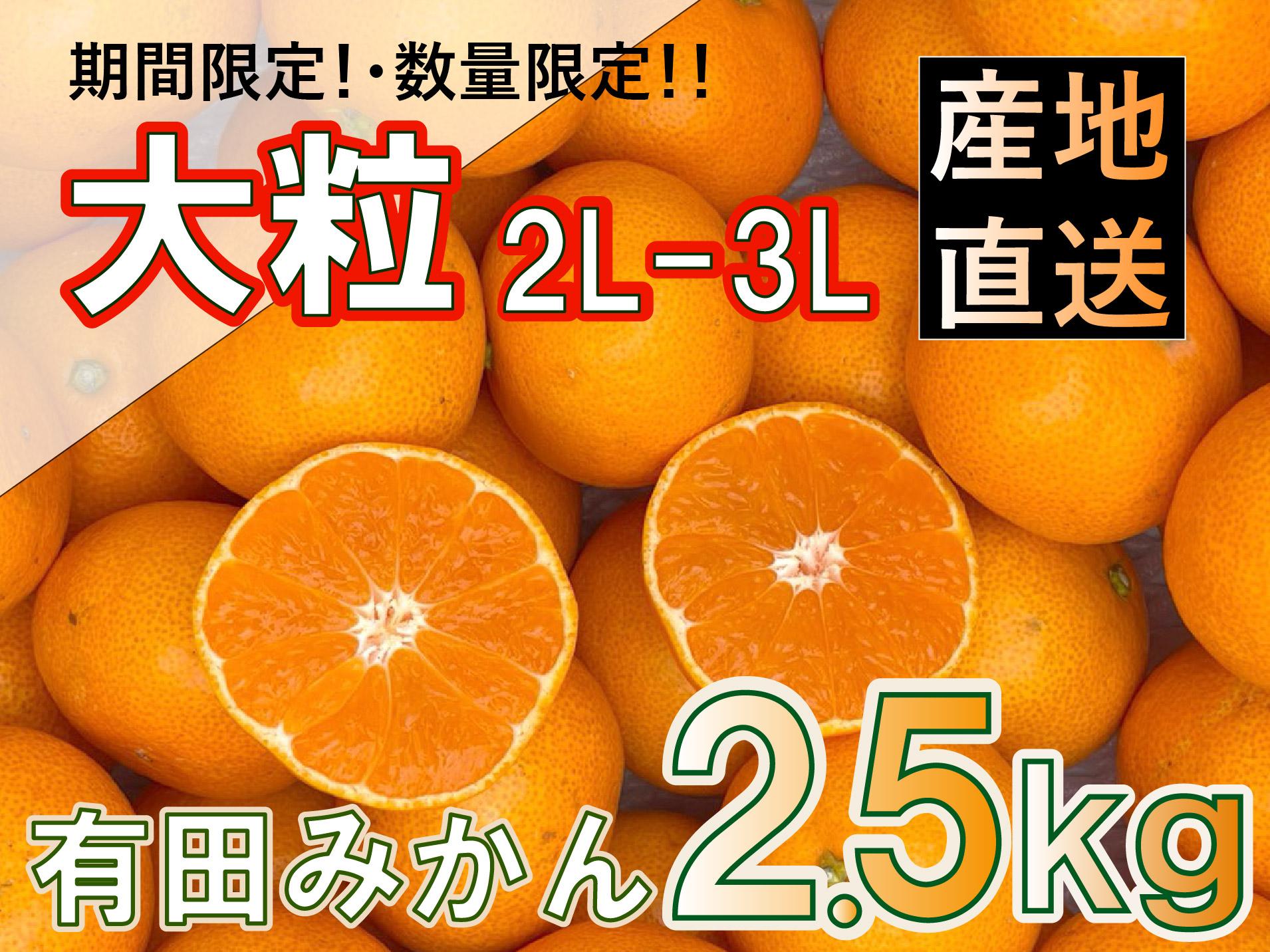 大粒 有田みかん 2.5kg 和歌山県産 ～2L~3L厳選・たっぷり～
