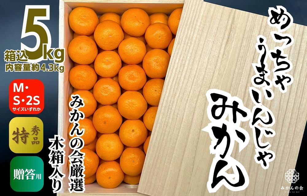 みかん めっちゃうまいんじゃ 木箱入 約5kg（内容量4.3kg） みかんの会厳選 特選品 M S 2S サイズのいずれか 和歌山県産 産地直送 S品 贈答用 ［2026年11月中旬より順次出荷予定］［みかんの会］
