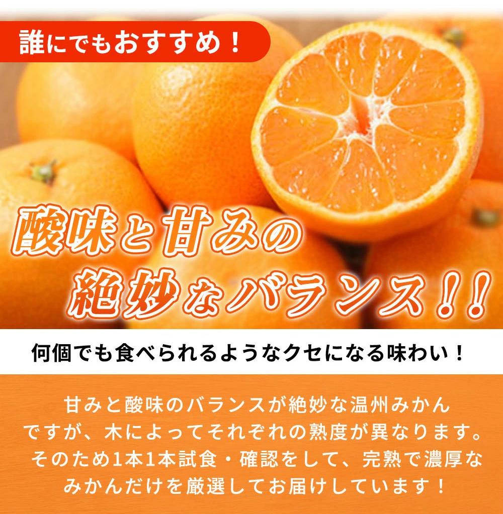紀州有田産濃厚甘熟温州みかん5kg［2026年11月下旬以降発送］［先行予約］［UT09w］