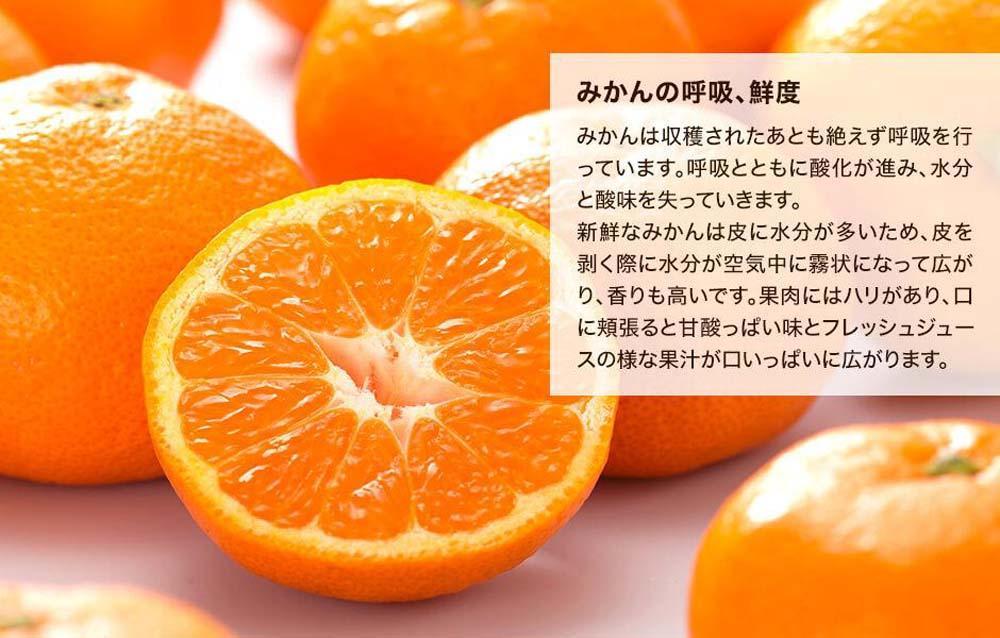 縺ソ縺九s 螻ア縺九i逶エ騾 邂ア霎シ 邏1kg(蜀螳ケ驥冗エ 0.9kg) 繧オ繧、繧コ繝溘ャ繧ッ繧ケ 蜥梧ュ悟アア逵檎肇 逕」蝨ー逶エ騾 螳カ蠎ュ逕ィシサ2026蟷エ11譛井クュ譌ャ繧医j鬆谺。蜃コ闕キ莠亥ョ夲シスシサ縺ソ縺九s縺ョ莨夲シス