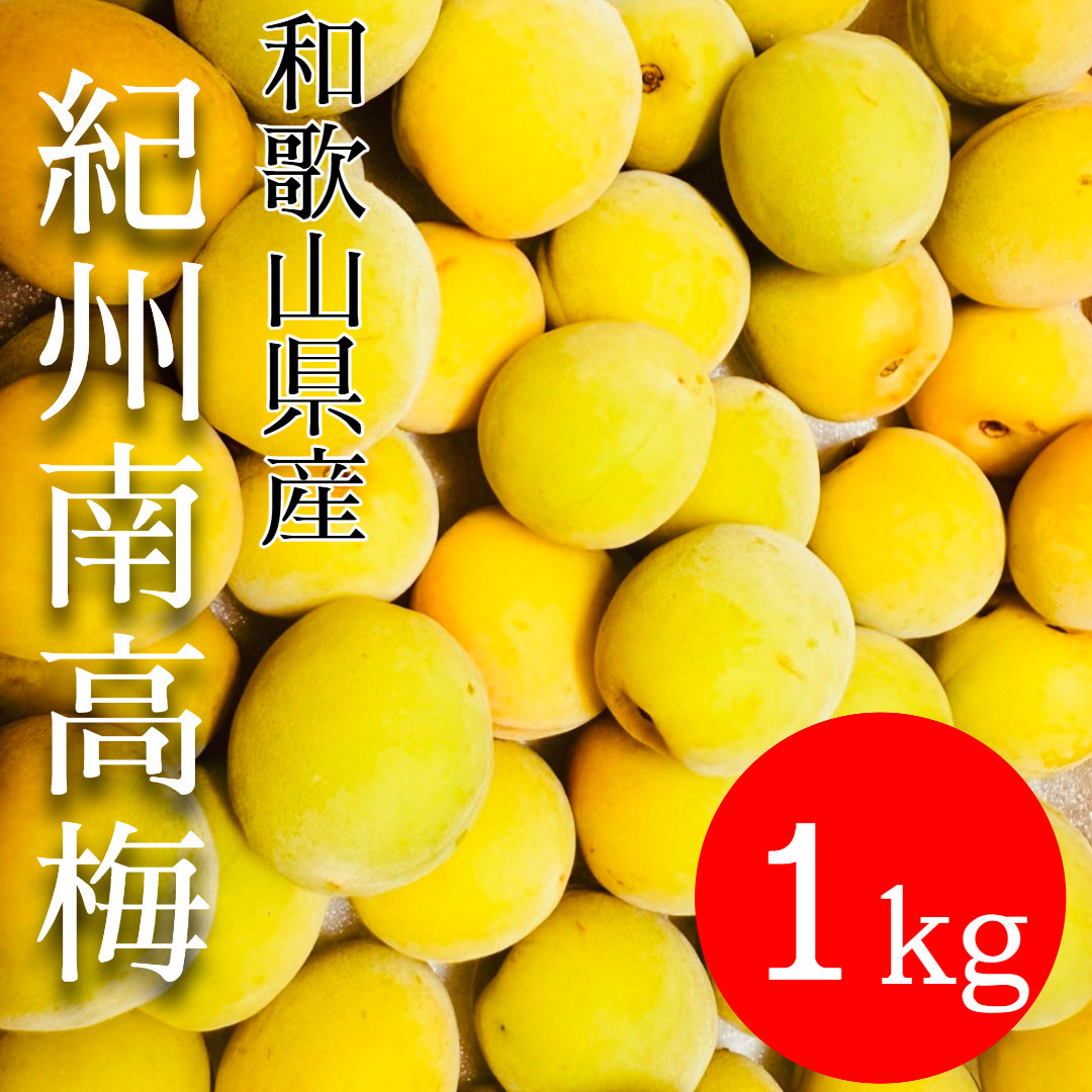 黄色～完熟梅 南高梅 1kg