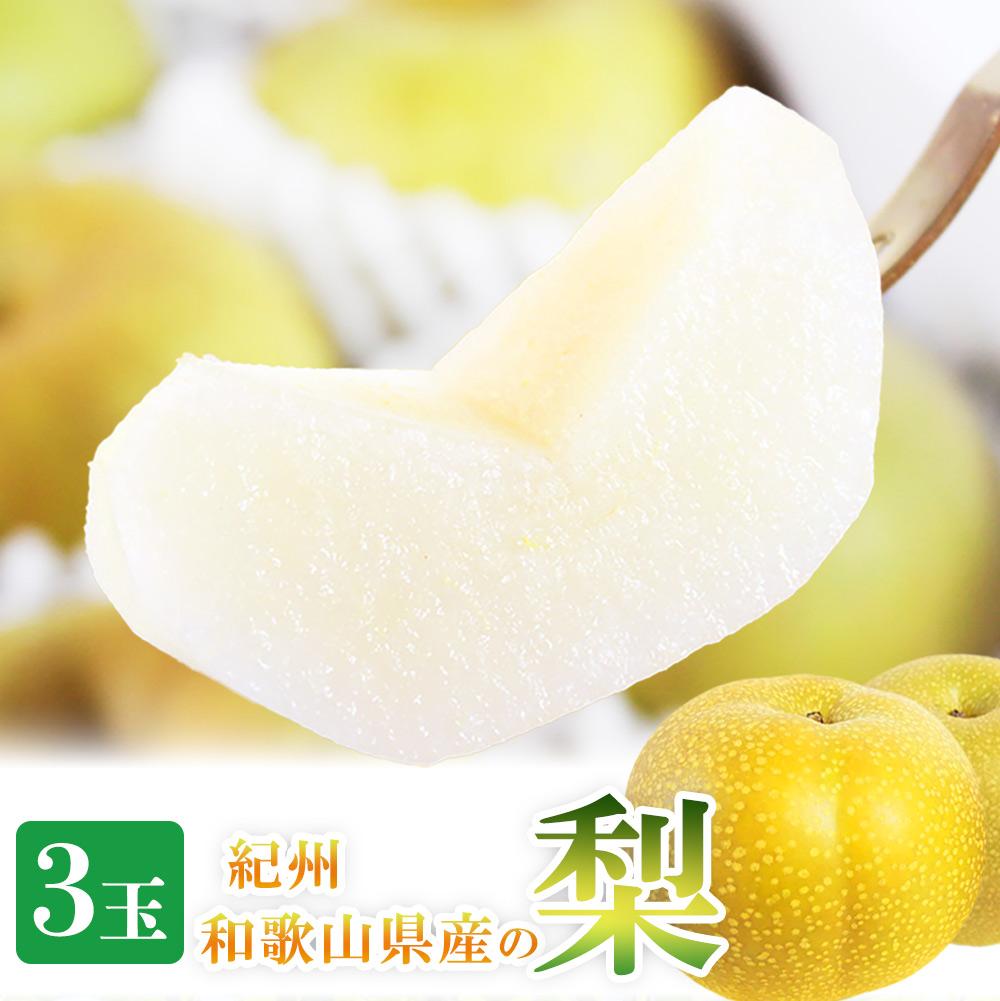 ジューシー果汁の紀州有田産の梨　３玉　化粧箱入【先行予約】【2026年8月中旬以降発送予定】