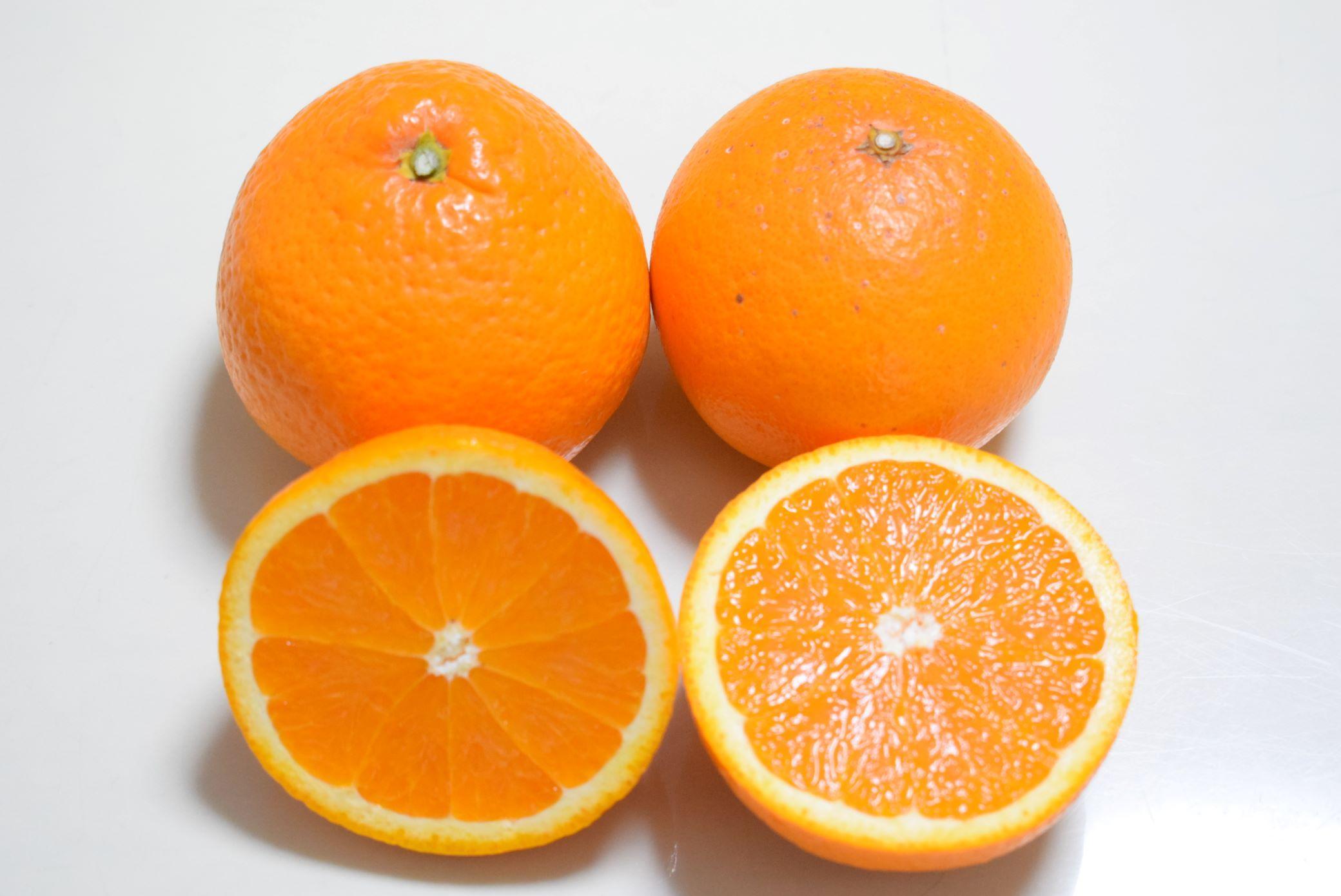 ★2027年3月初旬より発送★ ご家庭用 濃厚 有田産清見オレンジ約5kg サイズおまかせ または混合