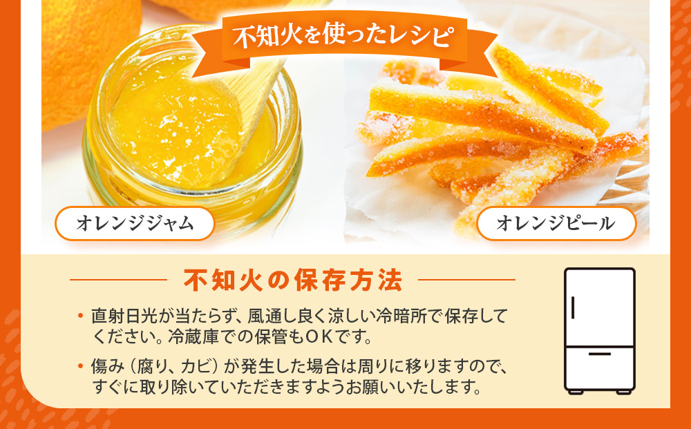 不知火(しらぬい) オレンジ みかん 訳あり 5kg サイズ混合