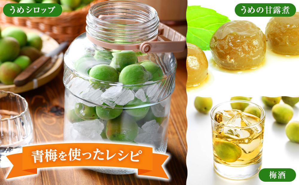 青梅 8kg 訳あり 紀州南高梅 シロップ・梅酒・梅干し用等 和歌山県有田産 2026年5月下旬～7月上旬発送予定