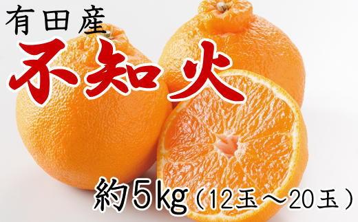 ［濃厚］有田の不知火約5kg（12～20玉）★2027年2月中旬頃より順次発送