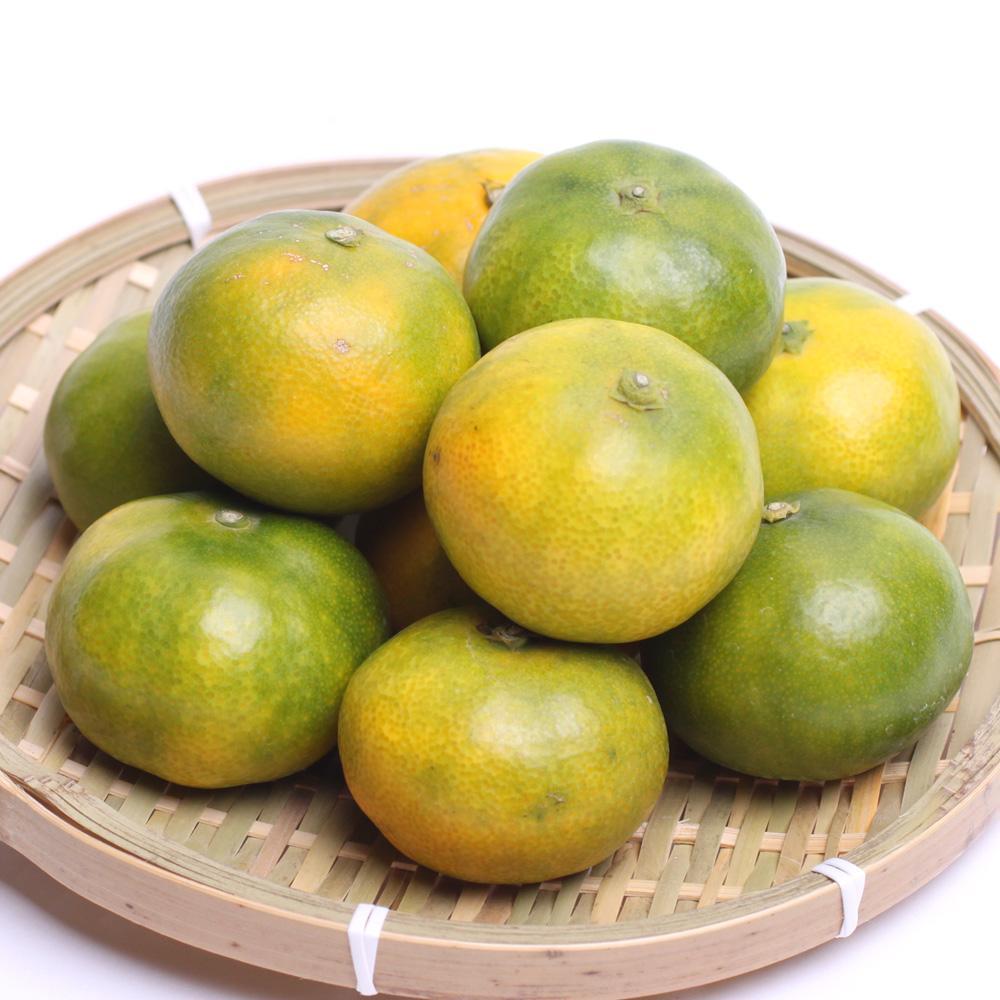 ［先行予約］プレミアム 有田みかん（ゆら早生）5kg+250g（傷み補償分）