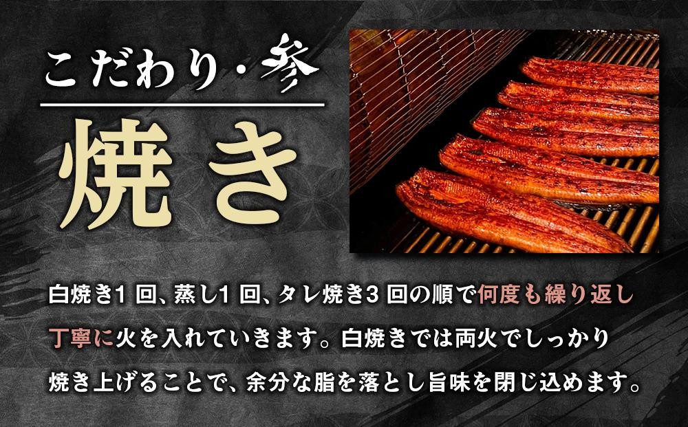 丑の日までにお届け うなぎ蒲焼4本 ＆ 角長特製蒲焼タレ 2本セット【7月21～23日出荷】【有田川町×湯浅町】