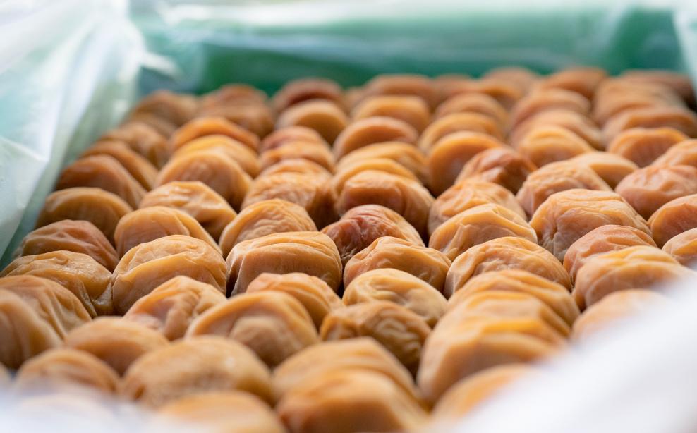 逋セ遖乗「 縺励◎貍ャ譴蟷イ 500ス