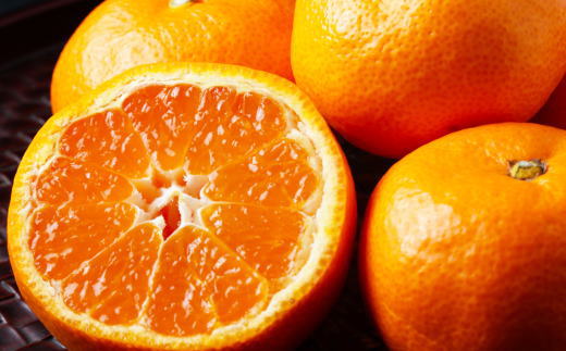 ［高糖系］貯蔵越冬丹生系みかん約5kg（S～Lサイズおまかせ）★2027年2月下旬頃より順次発送