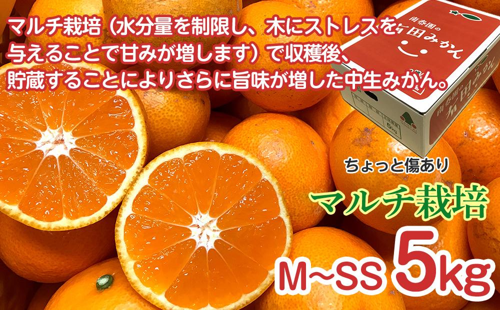 螳壽悄萓ソ 縺。繧縺」縺ィ 蛯キ縺ゅj 5kg テ3 蝗 繧ウ繝シ繧ケ 譛臥伐縺ソ縺九s 鬟溘∋縺上i縺ケ 3遞ョ 蜈ィ3蝗 蜊玲ウー蝨 縺ソ縺九s