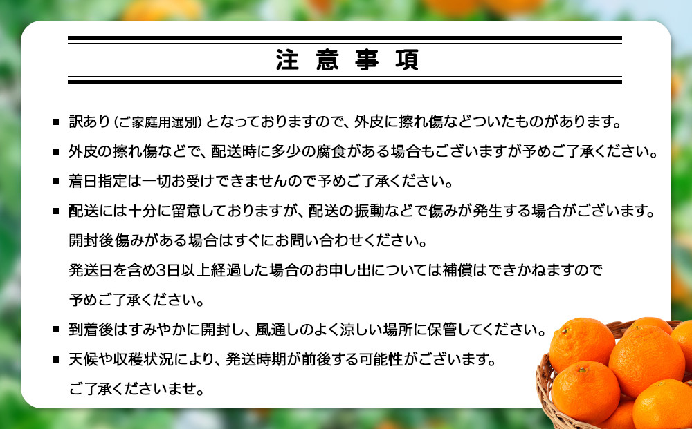手が止まらない 訳あり 有田みかん 約5kg 大きさ無選別（2S〜3L） 糖度11度以上 鳴川農園 ［2026年11月以降発送予定］