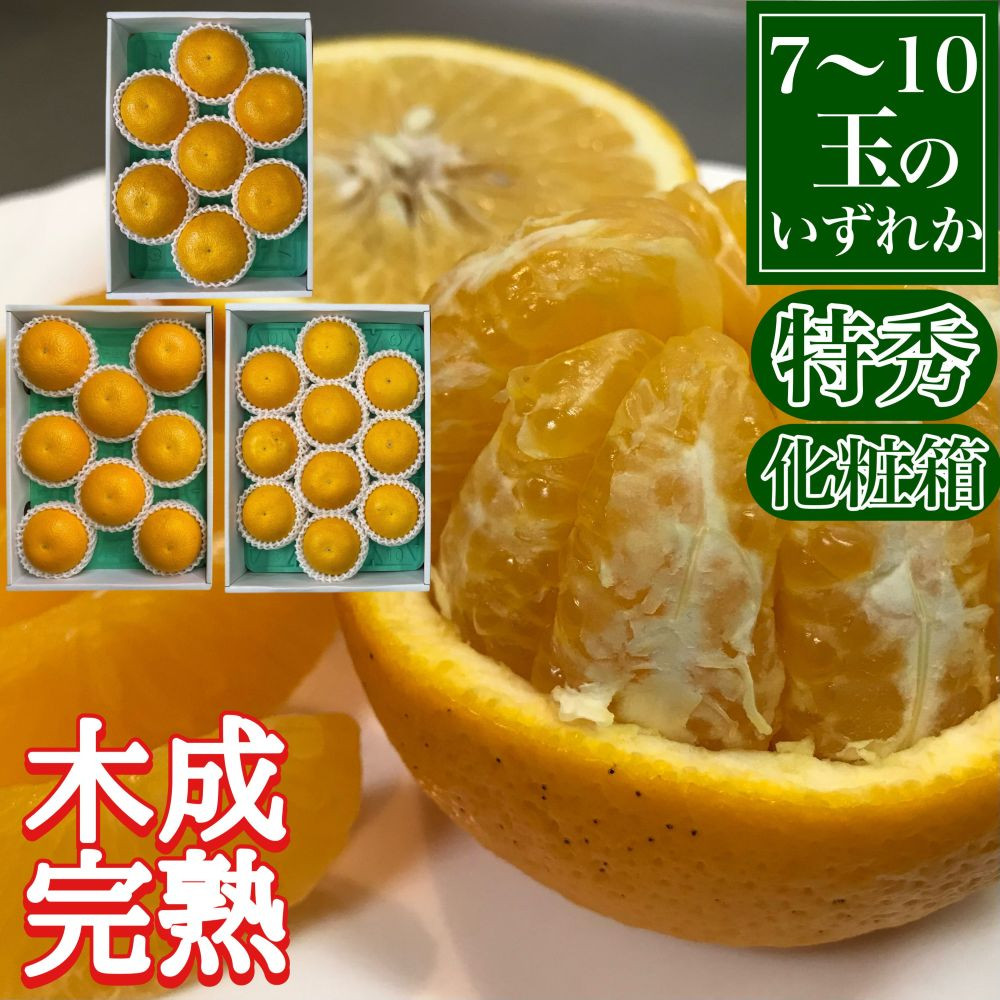 å®æäŸ¿ æ¥ã«æ¥œãã ããŠã¹ ããšã ïŒ æšæ å®ç æç° ã¯ã£ãã ç¹ç§ ã»ãã å
š2å åæ³°å