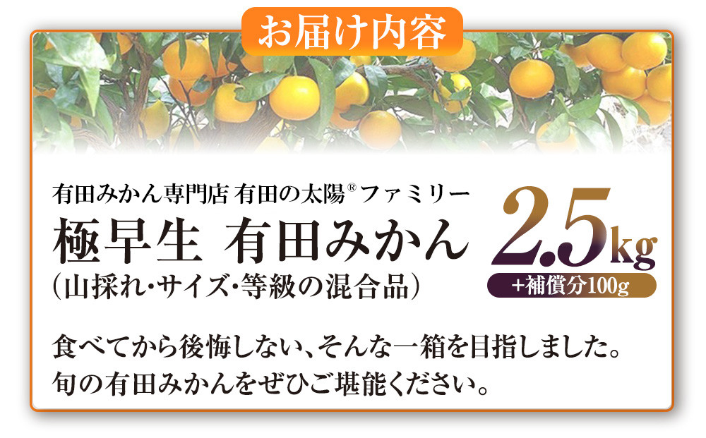 有田みかん専門店 有田の太陽®ファミリー 極早生 有田みかん 2.5kg＋補償分100g 山採れ・サイズ・等級 混合