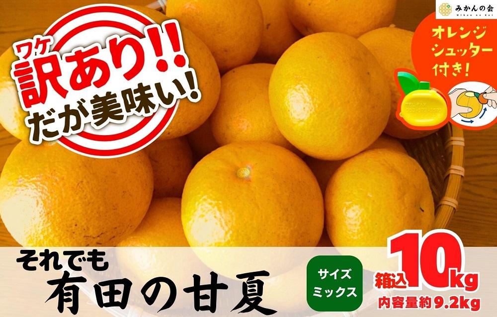 訳あり それでも 甘夏 箱込 10kg (内容量約9.2kg)  サイズミックス 産地直送 家庭用 皮むき器付き［みかんの会］