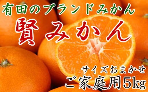 有田のブランド「賢みかん」5kg(S～Lサイズおまかせ）ご家庭用［2026年11月中旬頃より順次発送］