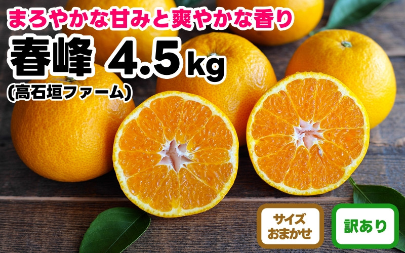 訳あり 春峰 4.5kg M～2Lサイズおまかせ 高石垣ファーム