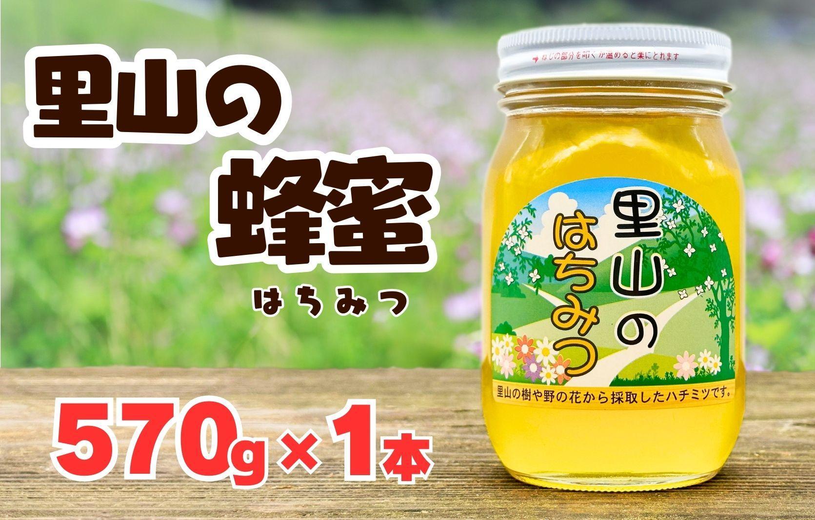 ありだ里山の蜂蜜 570g 化粧箱入り