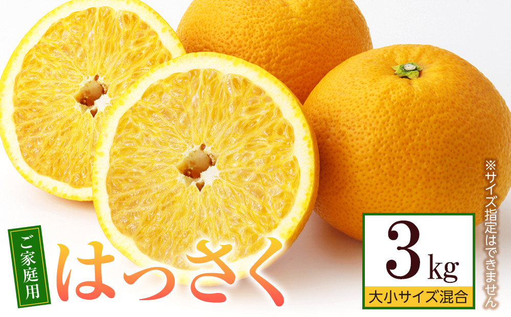 ［先行予約］ご家庭用 はっさく約3kg 大小サイズ 混合