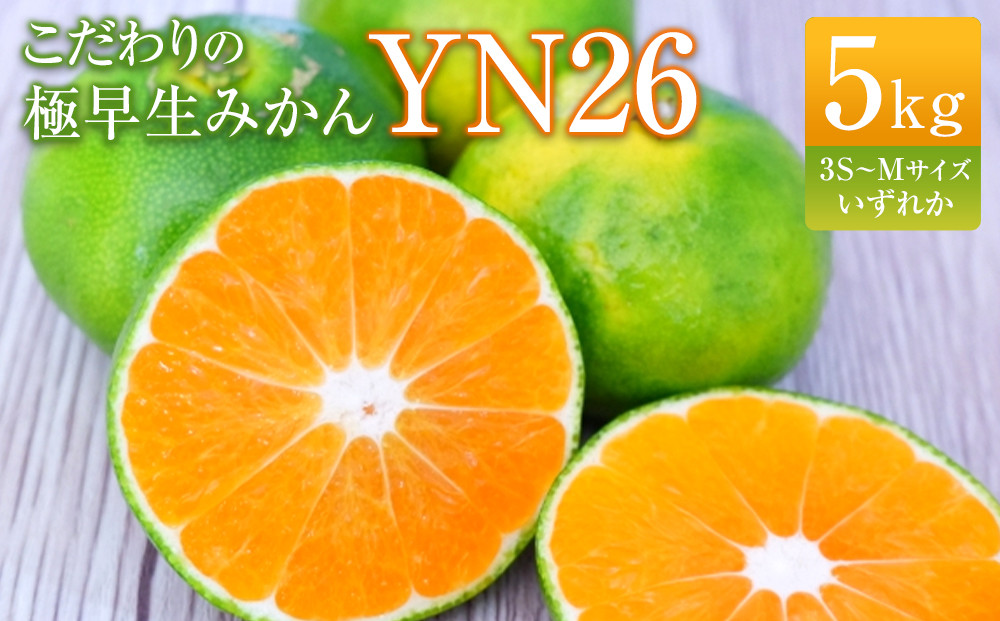 こだわりの極早生みかんYN26 5kg 3S～Mサイズいずれか