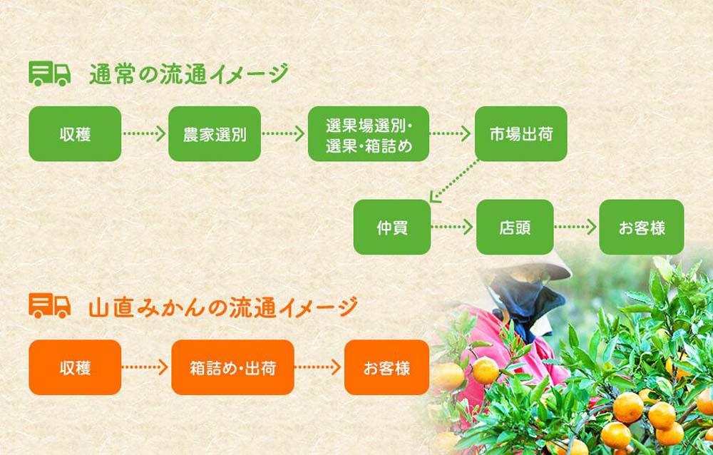みかん 極早生 山から直送 箱込 7.5kg (内容量約 6.8kg) 採れたてそのままごろごろ規格 有田みかん 和歌山県産 【みかんの会】［2026年10月上旬頃より順次発送予定］