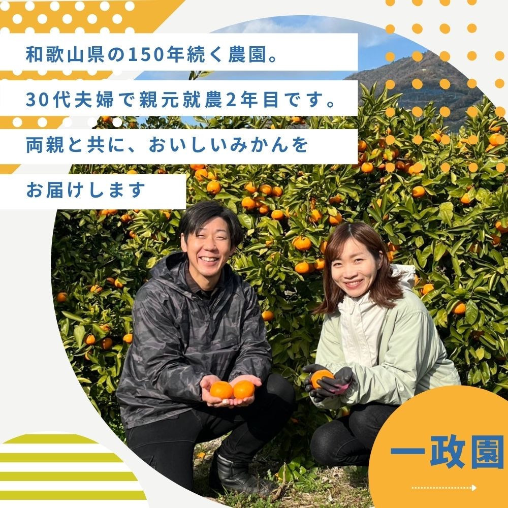 【ふるさと納税】【先行予約】有田みかん 早生 温州みかん 9.3kg（箱込み10kg）家庭用 S～Lサイズ おまかせ 柑橘 フルーツ みかん 産地直送 お取り寄せ 送料無料 温州ミカン