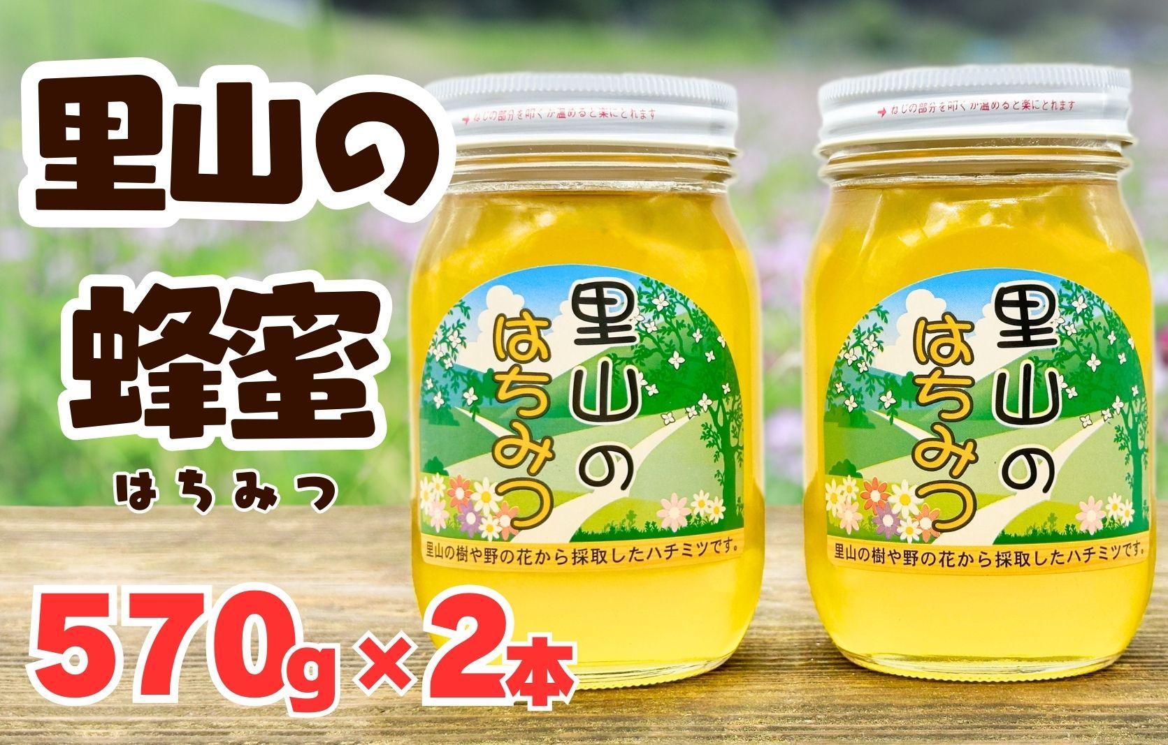 ありだ里山の蜂蜜 570g×2本セット 化粧箱入り