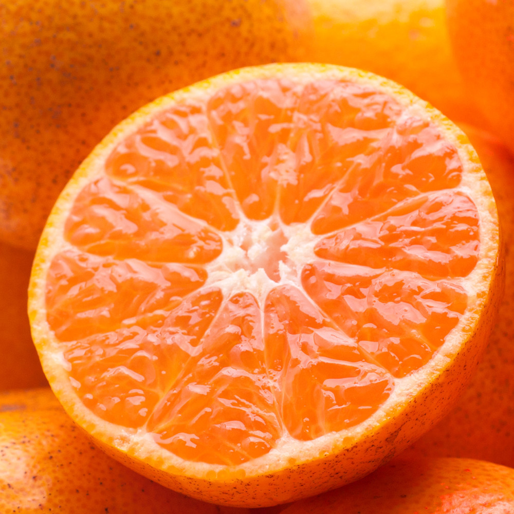 家庭用 有田みかん定期便 約2.5kg 全3回 10月・11月・12月発送