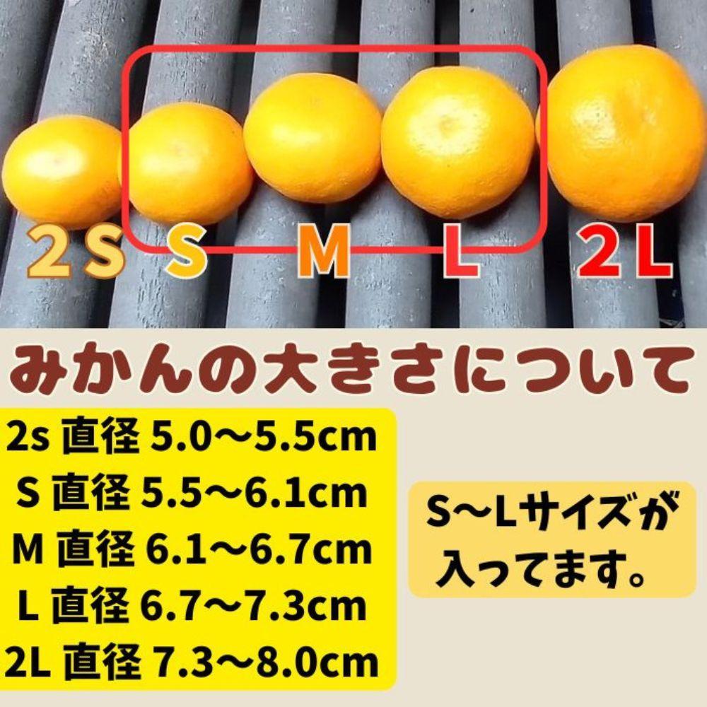 有田みかん 由良早生S〜Lサイズ混合 約10kg 【2026年発送 先行予約】
