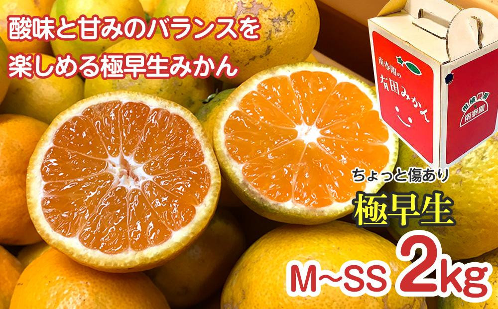 【 5年間 有田みかん 3種 食べくらべ ／ 全15回 】 ちょっと 傷あり 2kg × 3回 × 5年 コース 南泰園 みかん