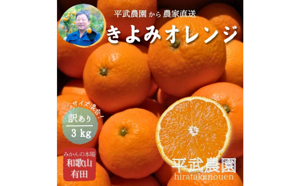 農家直送！きよみオレンジ 3kg 訳あり≪サイズ混合≫［平武農園］～蛍飛ぶ町から旬の便り～［2026年3月下旬から順次発送予定］