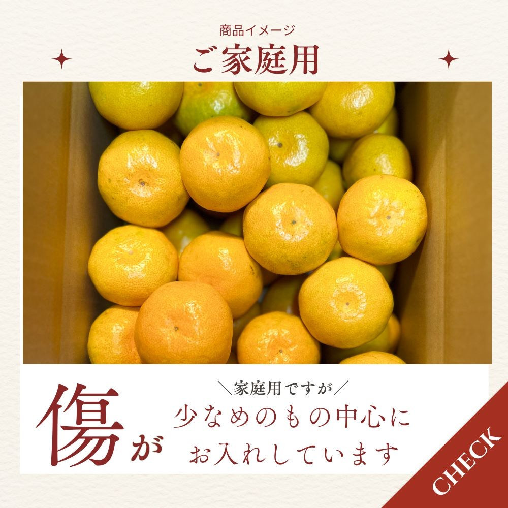 【ふるさと納税】有田みかん 極早生 9.3kg（箱込み10kg）家庭用 S～Lサイズ おまかせ【2026年11月発送】柑橘 フルーツ みかん 産地直送 お取り寄せ 送料無料