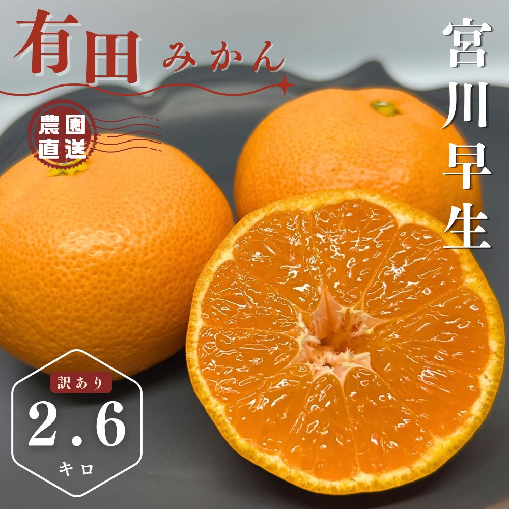 【ふるさと納税】【先行予約】有田みかん 早生 温州みかん 2.6kg（箱込み3kg） 訳あり S～Lサイズおまかせ　柑橘 フルーツ みかん 産地直送 お取り寄せ 送料無料 温州ミカン