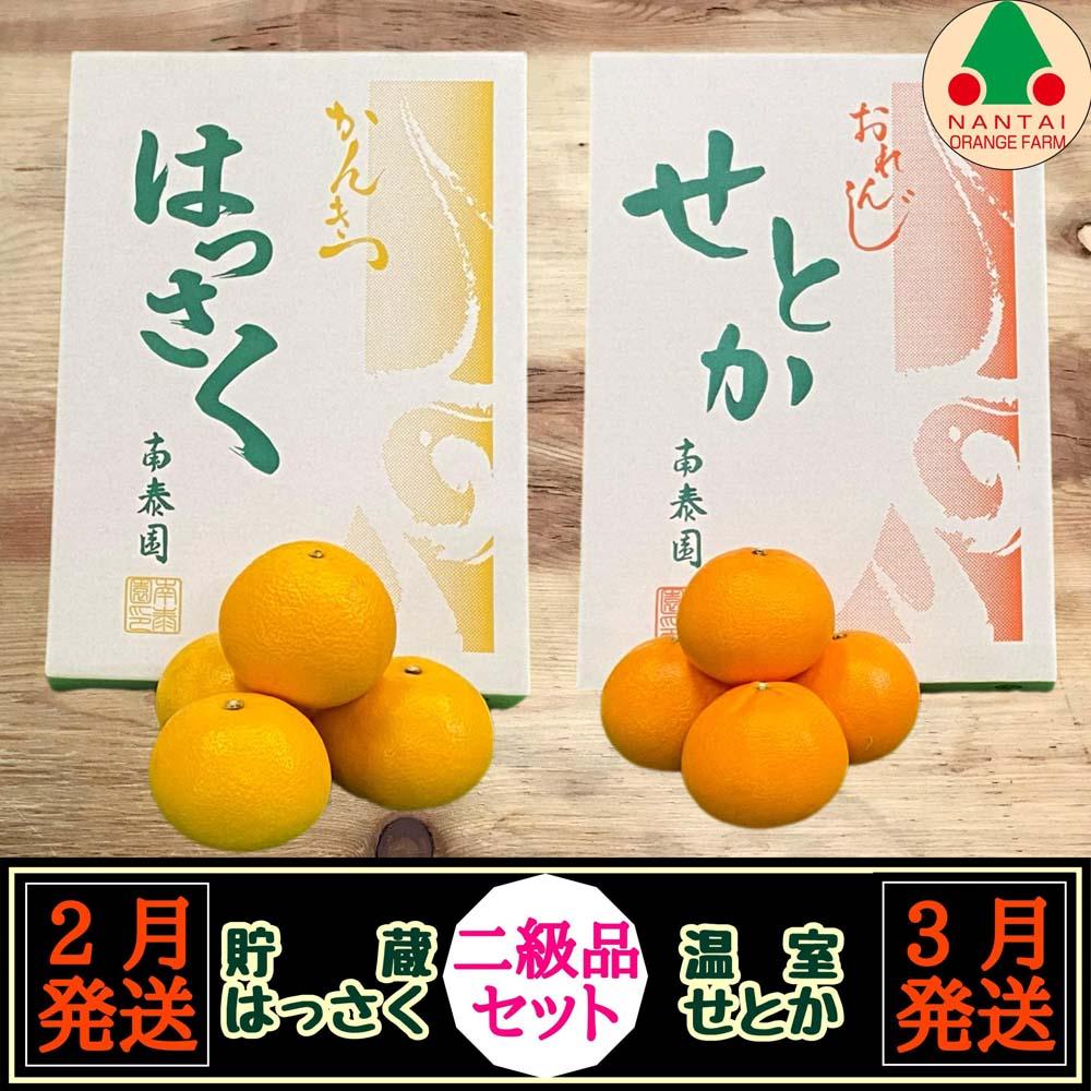 定期便 貯蔵 はっさく ＆ ハウス せとか 全2回 南泰園 二級品 セット みかん