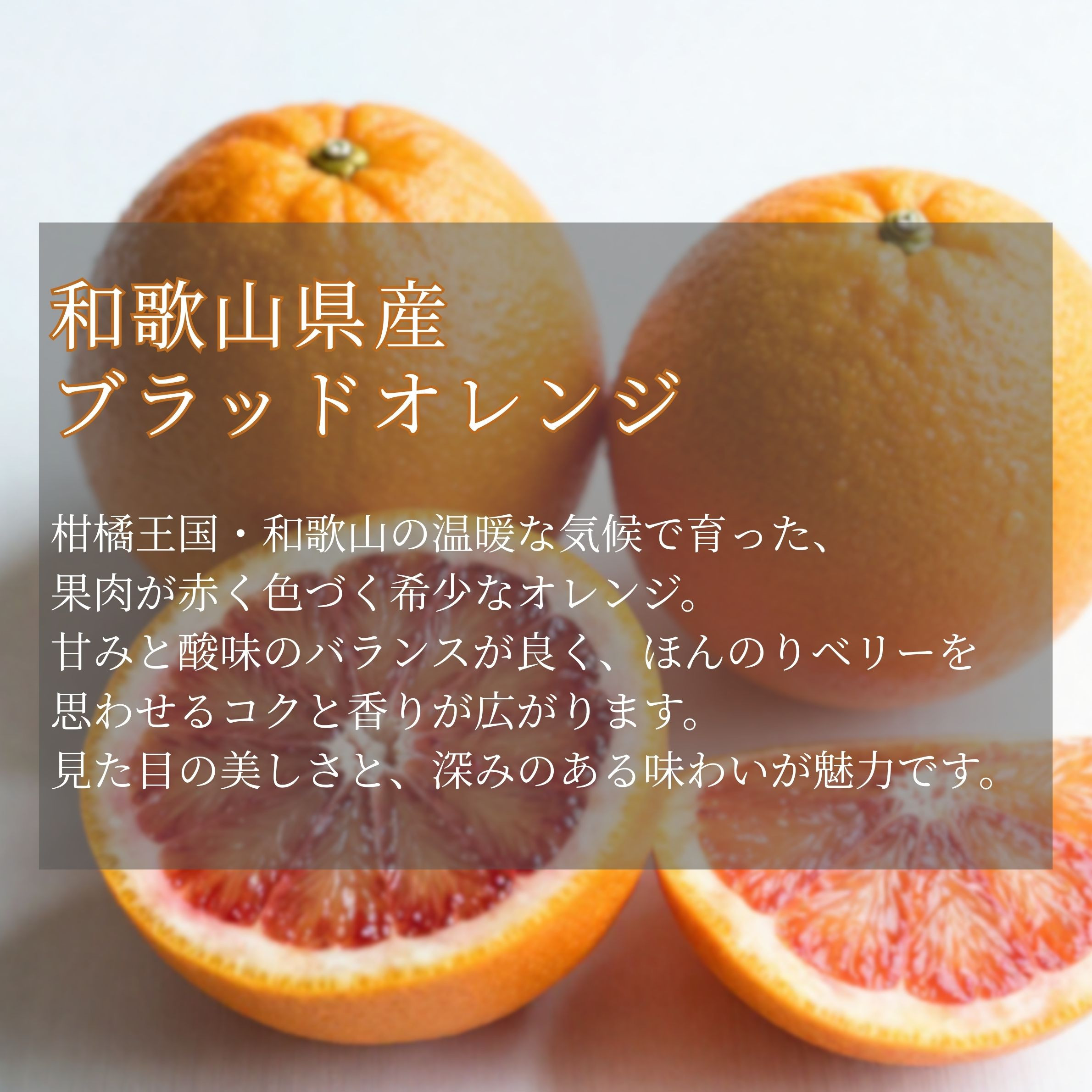 和歌山 有田 ブラッドオレンジ モロ 5kg