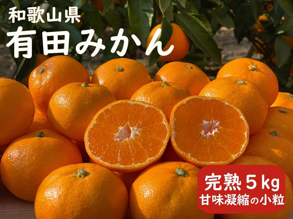 完熟 小粒 有田みかん 5kg 甘味凝縮 和歌山県産 産直45年 武内園