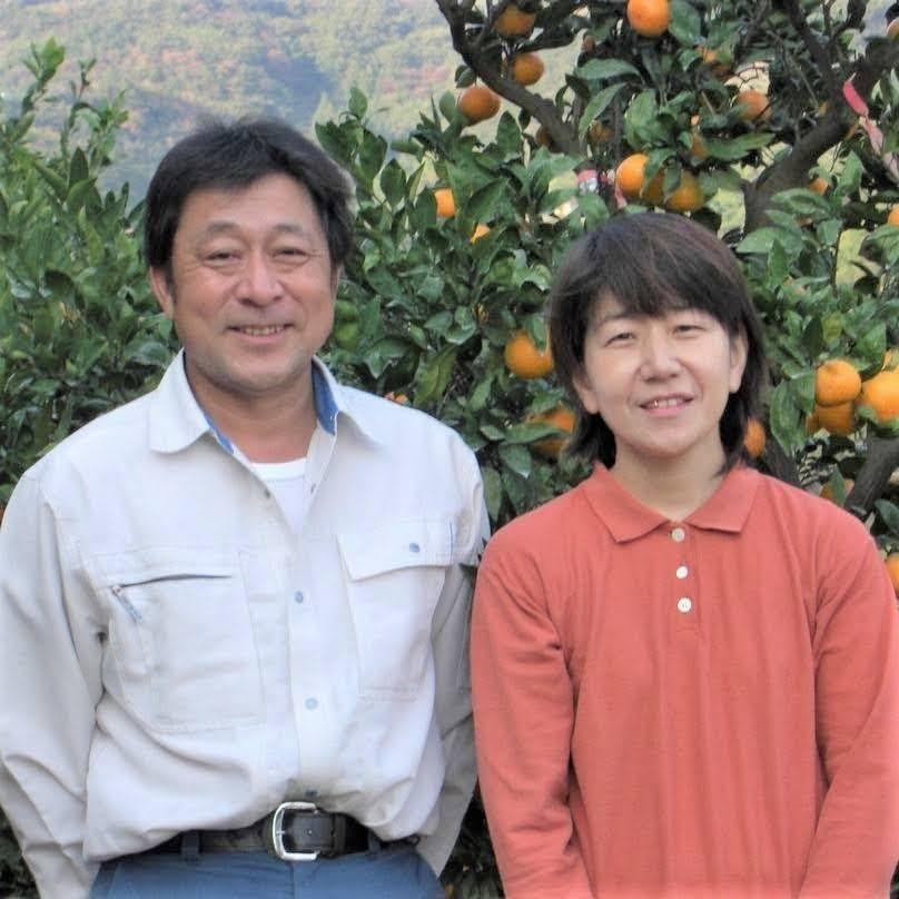 無添加100％みかんジュース6本セット【平武農園】～蛍飛ぶ町から旬の便り～