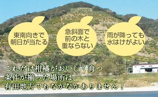 無添加100％みかんジュース 1000ml×1本【平武農園】～蛍飛ぶ町から旬の便り～
