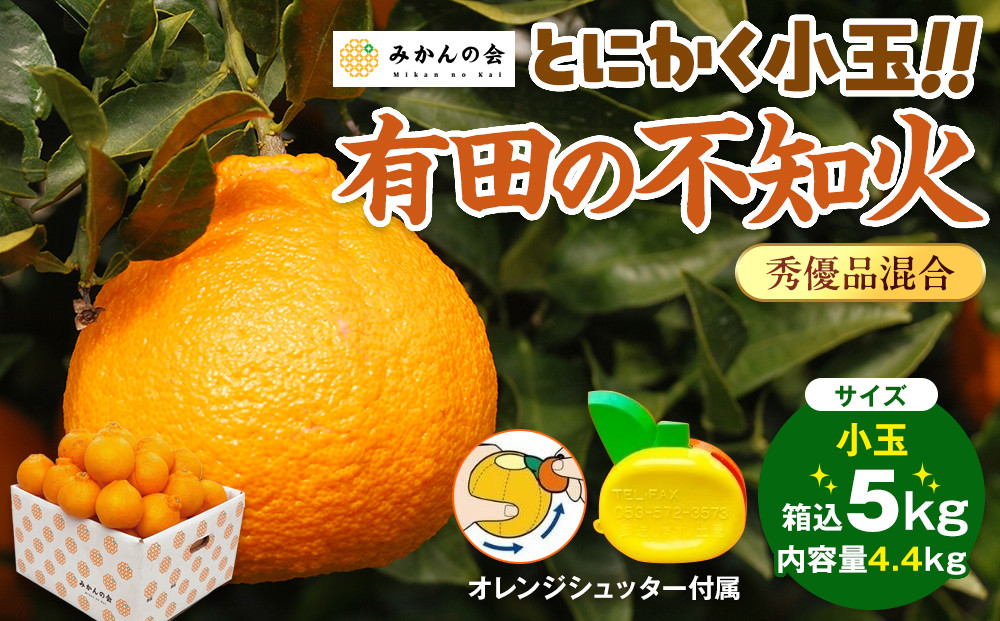 不知火 とにかく 小玉 箱込 5kg(内容量約 4.4kg) 秀優品混合 和歌山県産 産地直送［みかんの会］