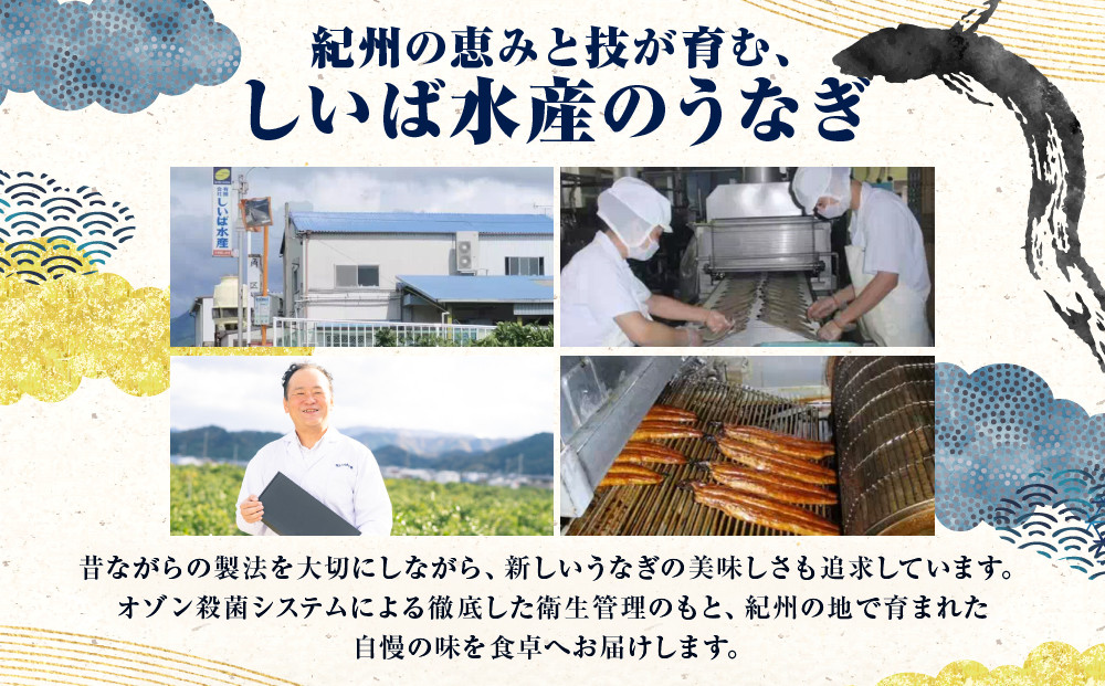 年内発送 訳あり 国産 うなぎ 1食 パック 合計1kg 山椒 付き タレ 30個 付 数量限定【申込は2025年12月24日まで】