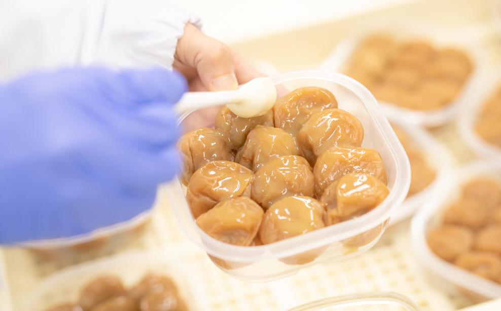 逋セ遖乗「 縺励◎貍ャ譴蟷イ 500ス