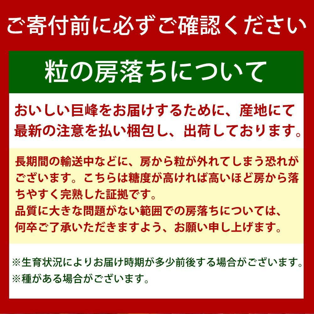 縲8繝サ9繝サ12譛 蜈ィ3蝗槭醍エ蟾樒肇 蟾ィ蟲ー縺ィ繝輔Ν繝シ繝螳壽悄萓ソBシ亥キィ蟲ー繝サ譴ィ繝サ縺ソ縺九sシ 縲宣ュ夐カエ蝠蠎励