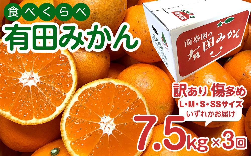 定期便 訳あり 傷多め 7.5kg × 3回 コース 有田みかん 食べくらべ 3種 全3回 南泰園 みかん
