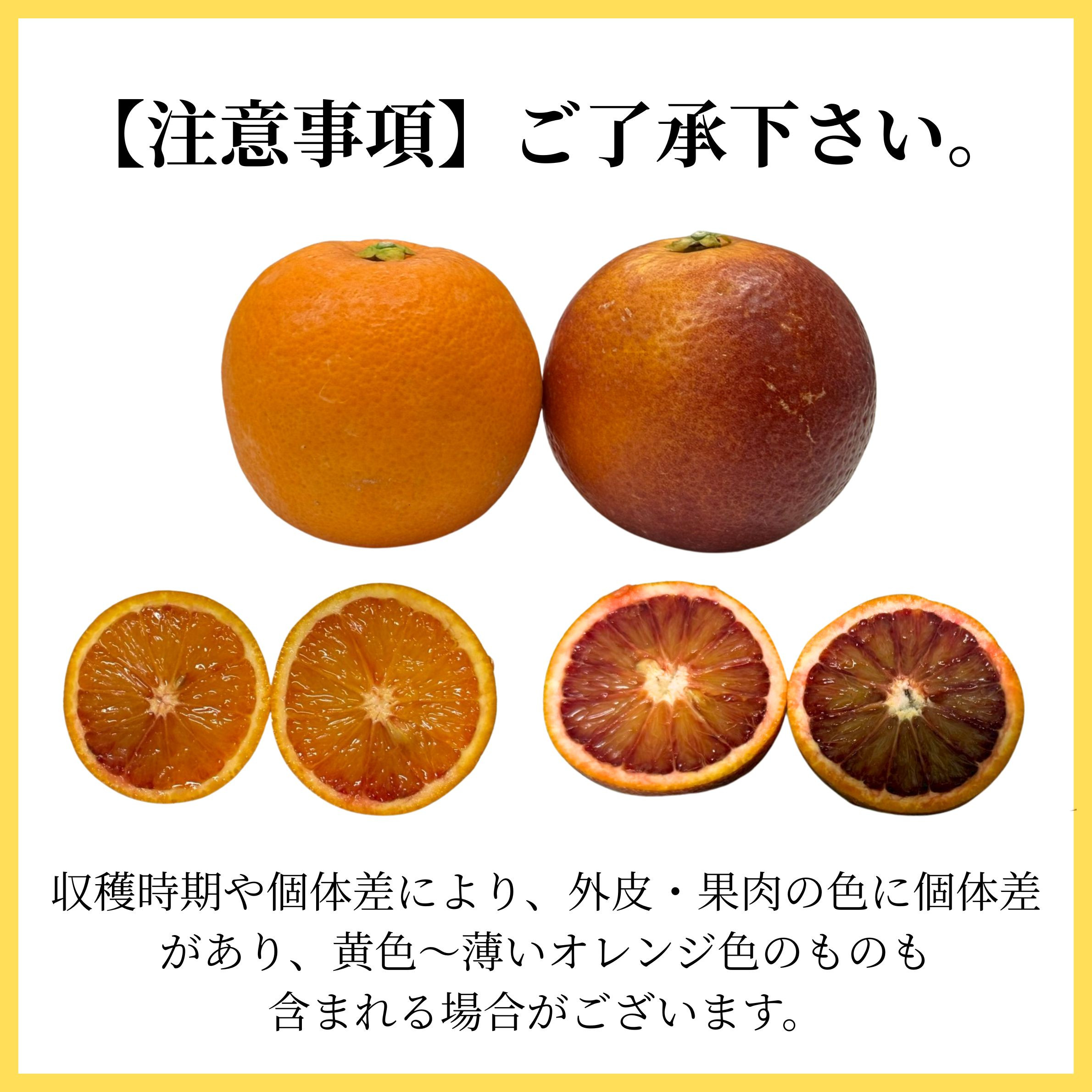 和歌山 有田 ブラッドオレンジ モロ 5kg