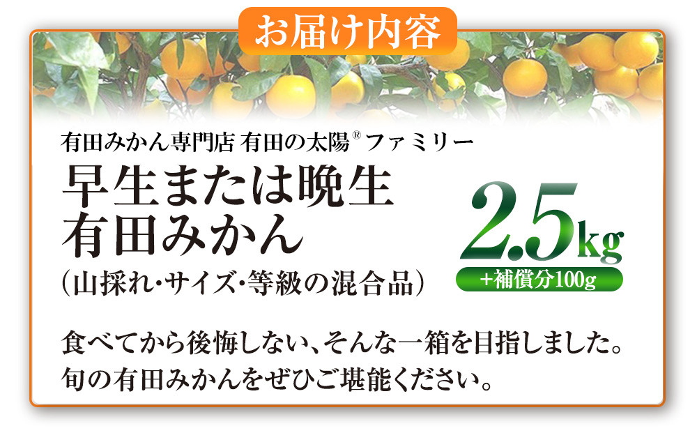 譛臥伐縺ソ縺九s蟆る摩蠎 譛臥伐縺ョ螟ェ髯スツョ繝輔ぃ繝溘Μ繝シ 譌ゥ逕溘∪縺溘ッ譎ゥ逕 譛臥伐縺ソ縺九s 2.5kgシ玖」懷─蛻100g 螻ア謗。繧後サ繧オ繧、繧コ繝サ遲臥エ 豺キ蜷