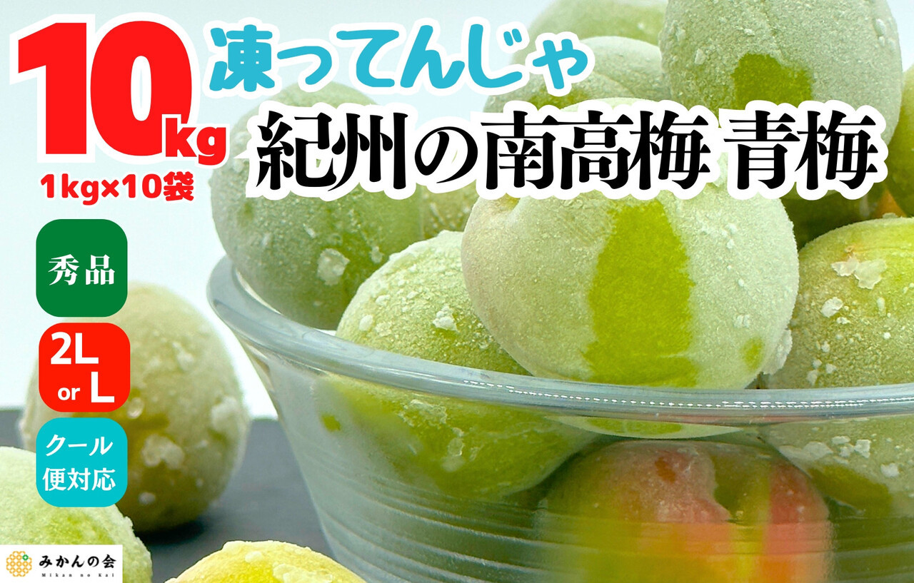 【2026年7月上旬～出荷予定】梅 冷凍 青梅 南高梅 10kg ( 1kg × 10袋) 秀品 2L or Lサイズ 和歌山県産 紀州有田 【みかんの会】