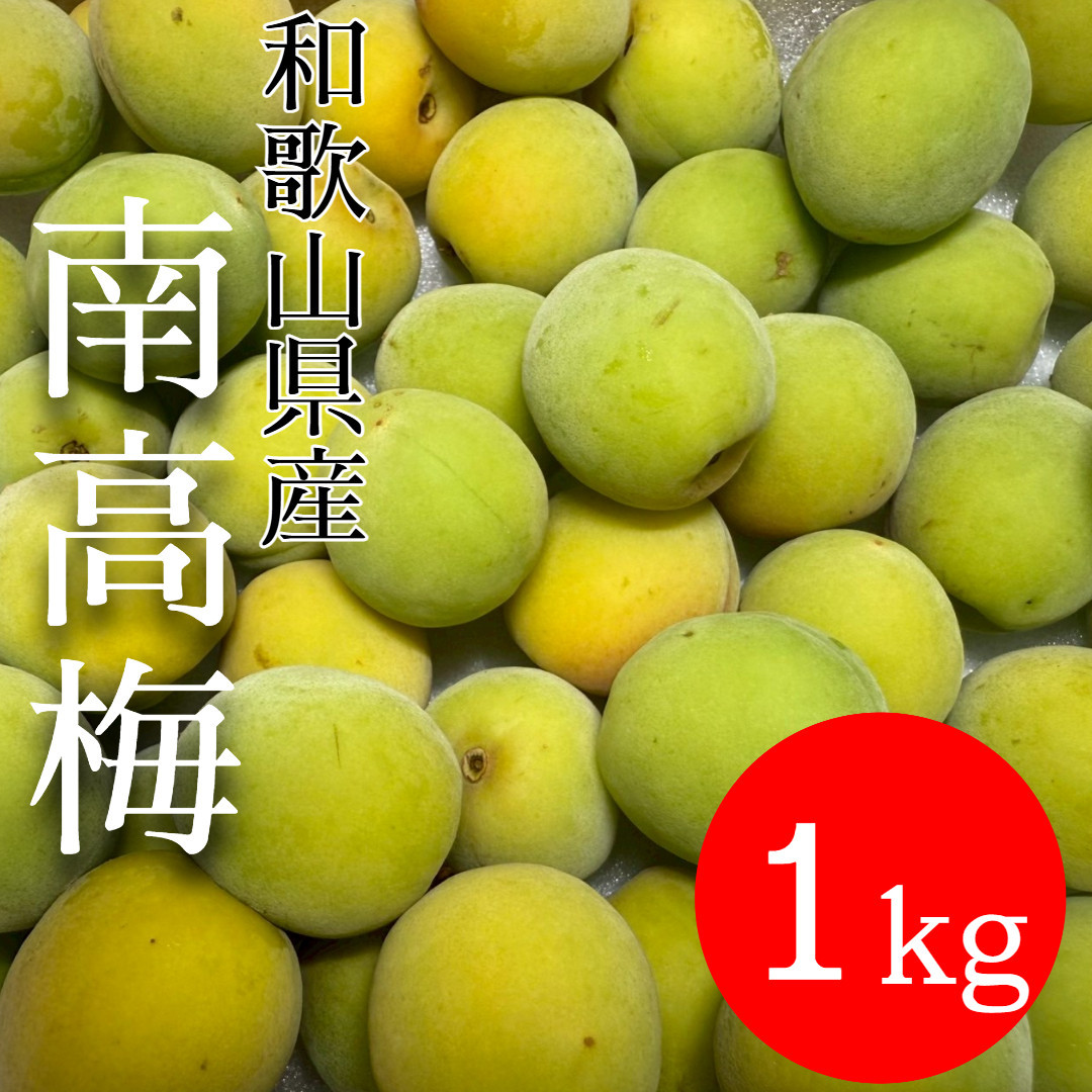 青梅 南高梅 1kg