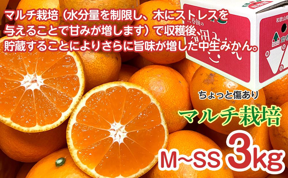 螳壽悄萓ソ 縺。繧縺」縺ィ 蛯キ縺ゅj 3kg テ 3蝗 繧ウ繝シ繧ケ 譛臥伐縺ソ縺九s 鬟溘∋縺上i縺ケ 3遞ョ 蜈ィ3蝗 蜊玲ウー蝨 縺ソ縺九s