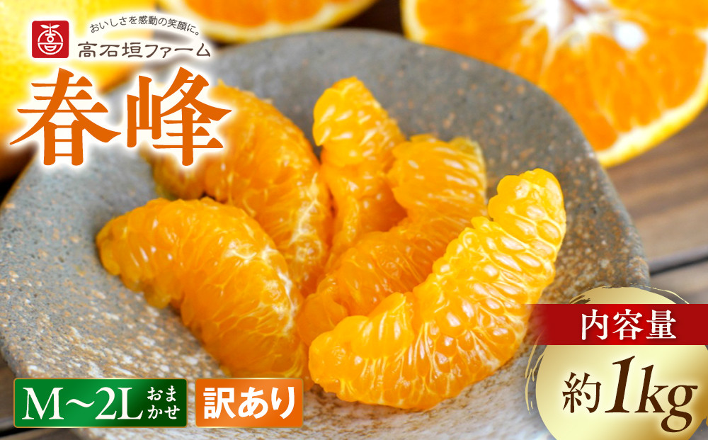 訳あり 春峰 1kg M～2Lサイズおまかせ 高石垣ファーム